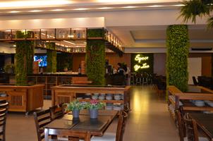Plantas: imagem 7 de 15